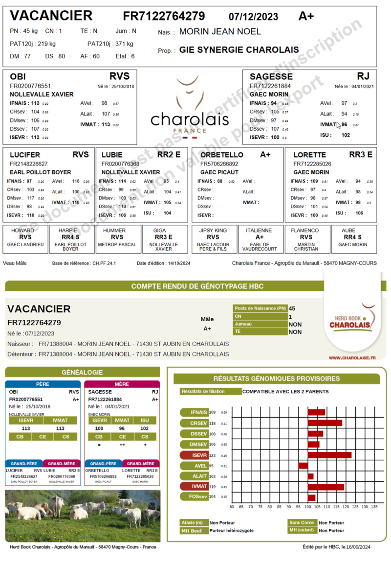 genealogie taureau charolais VACANCIER