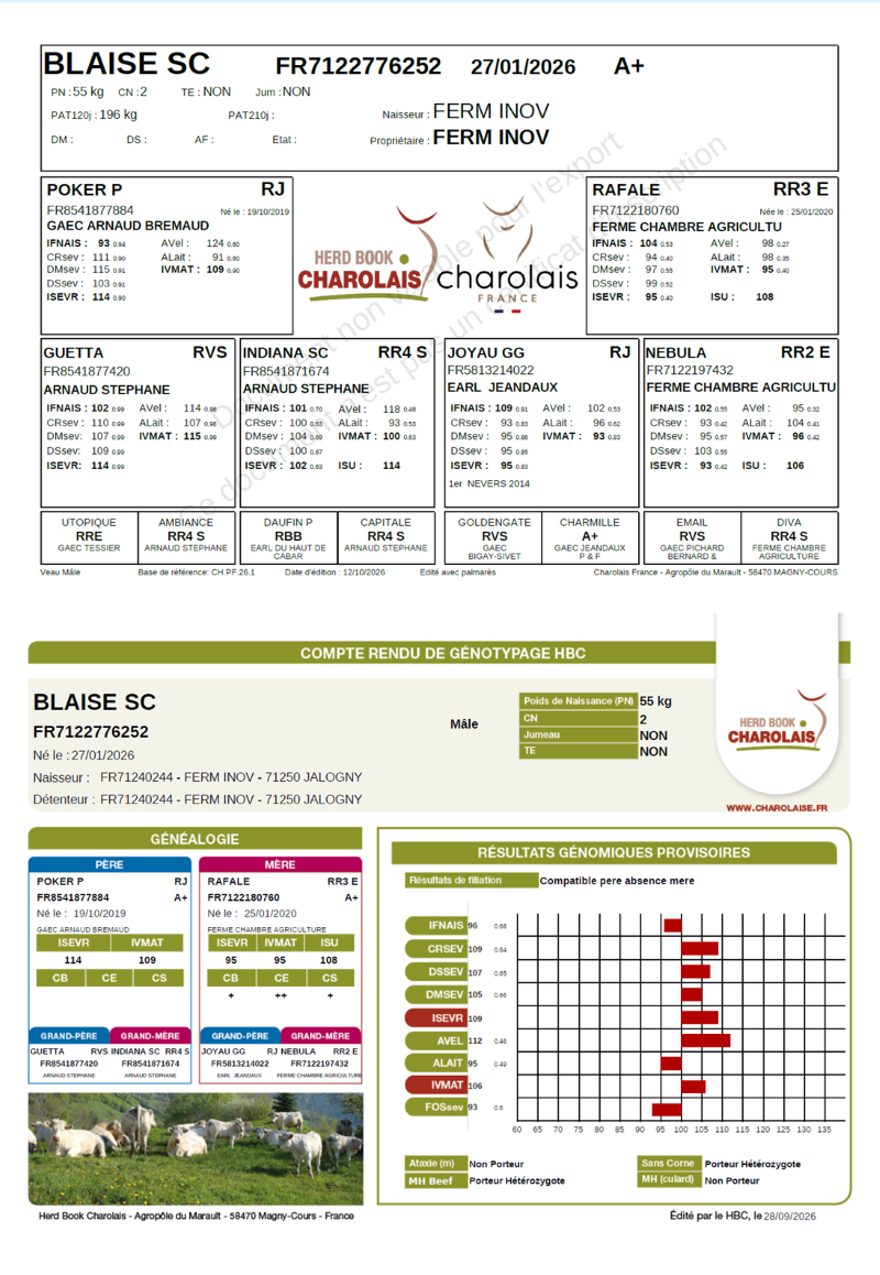genealogie taureau charolais BLAISE SC 