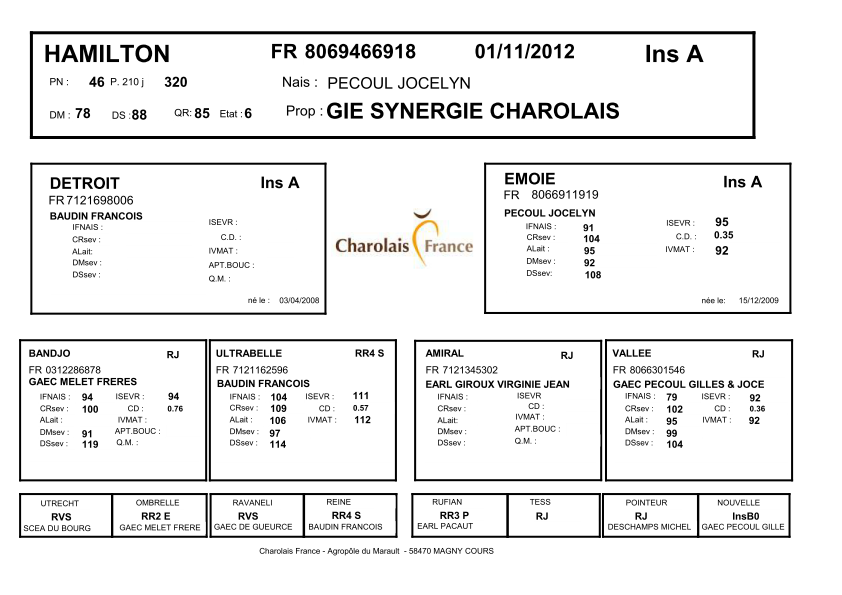 genealogie taureau charolais HAMILTON