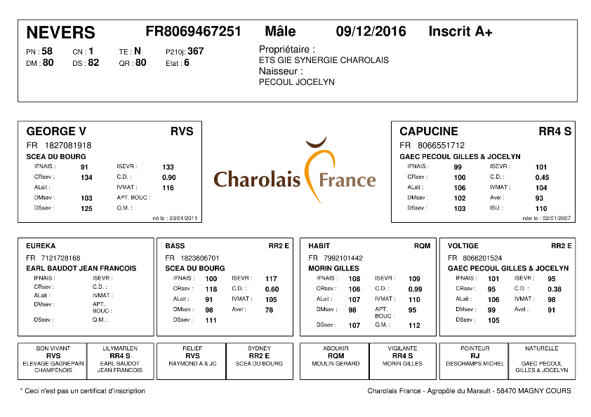 genealogie taureau charolais NEVERS