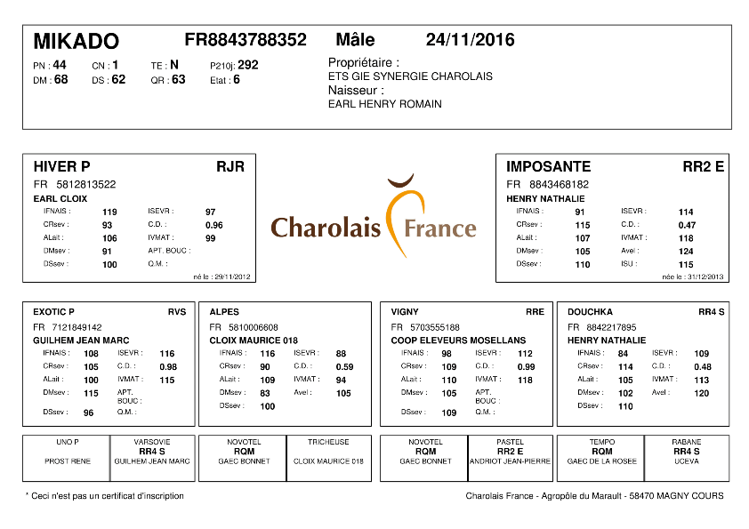 genealogie taureau charolais MIKADO