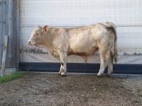 TOPSIDE