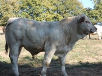 OMER