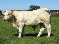 VILLIERE